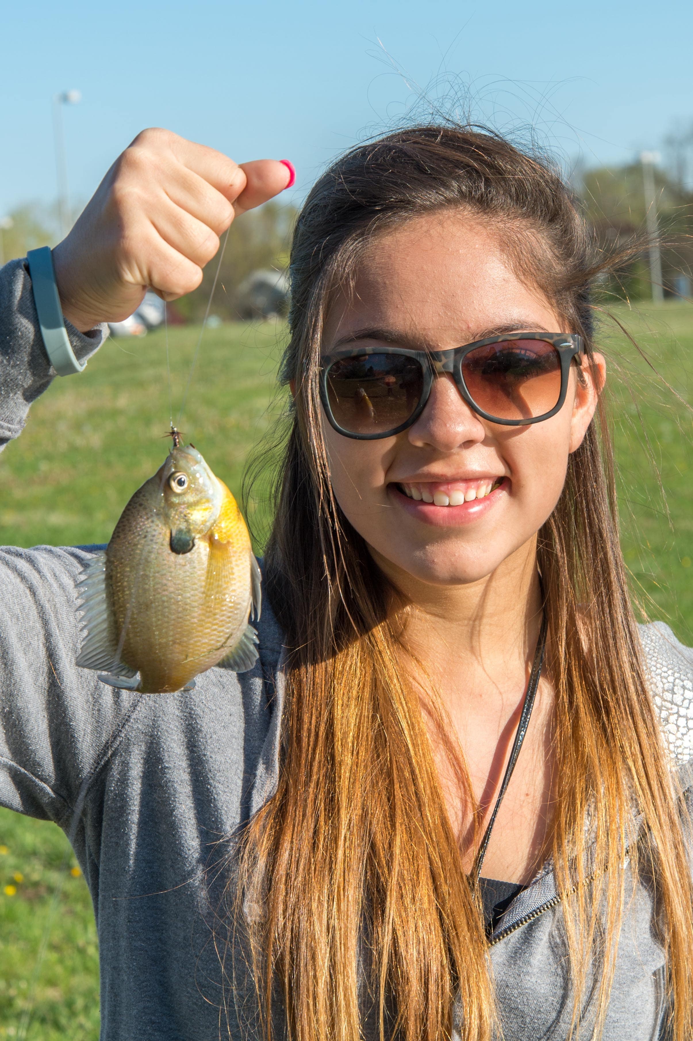 Fish Student NFSP About Us